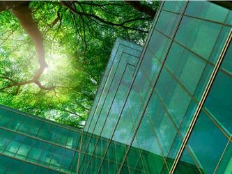 Skyscraper in a forest
